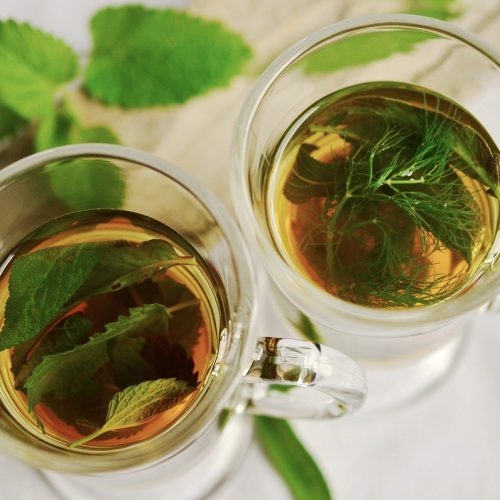 Pyszne chwasty i drzewne herbatki – spacer zielarski