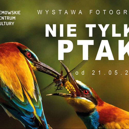 „Nie tylko ptaki” – wystawa fotografii Elżbiety Rogaczewskiej-Czępińskiej