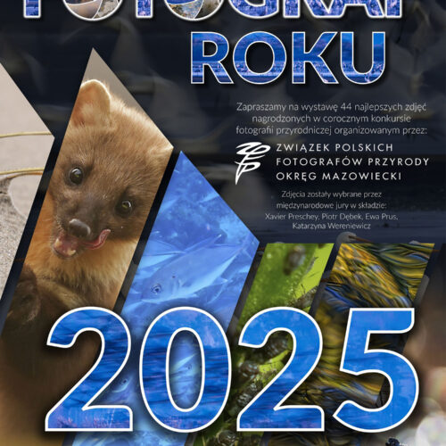 Wystawa Okręgu Mazowieckiego Związku Polskich Fotografów Przyrody „FOTOGRAF ROKU 2025”