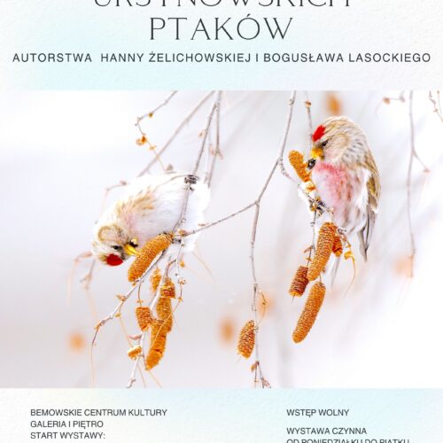 Wystawa fotograficzna „Świat ursynowskich ptaków”