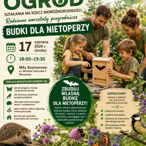 Naturalny Ogród – Budki dla nietoperzy – rodzinne warsztaty przyrodnicze