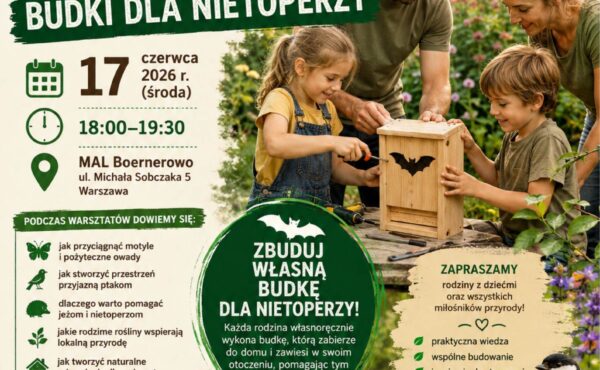 Naturalny Ogród – Budki dla nietoperzy – rodzinne warsztaty przyrodnicze